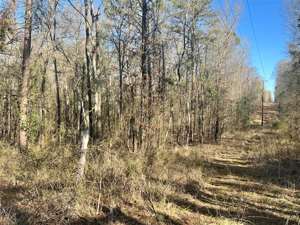 Picture 11