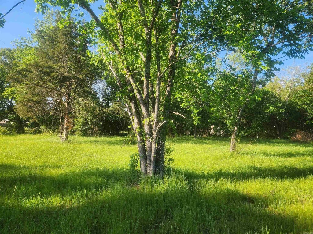Picture 2