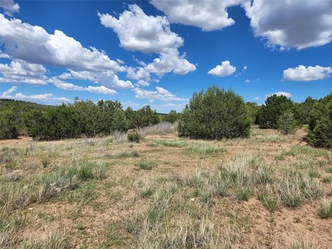 Expansive Acreage Near Tijeras, NM