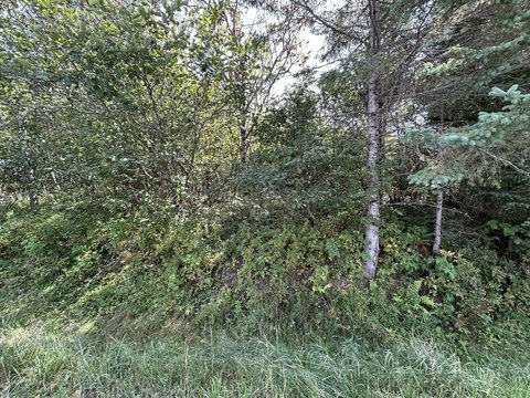 Land, Rangeley, ME