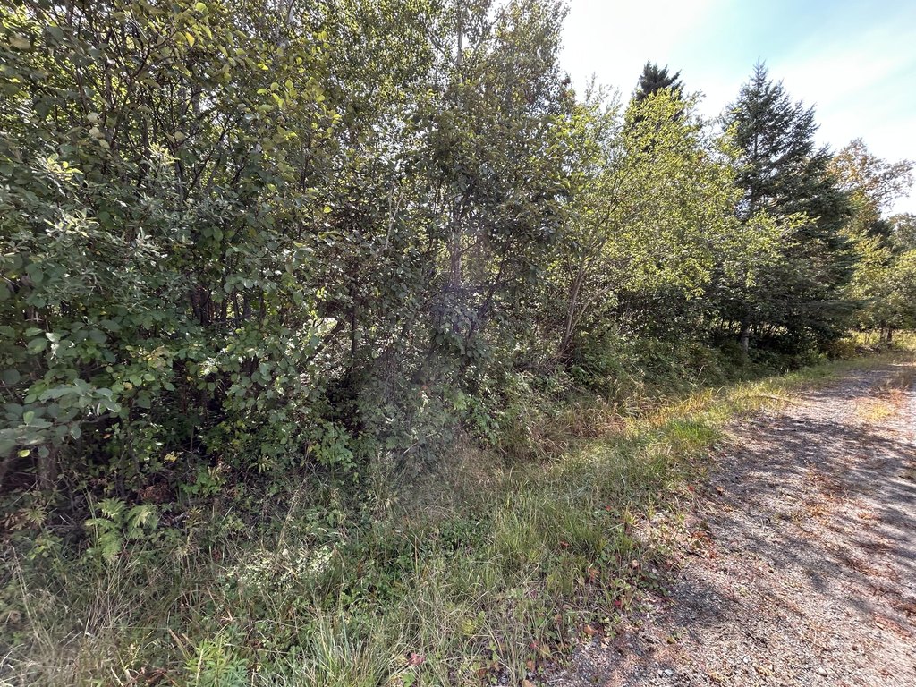 Picture 2