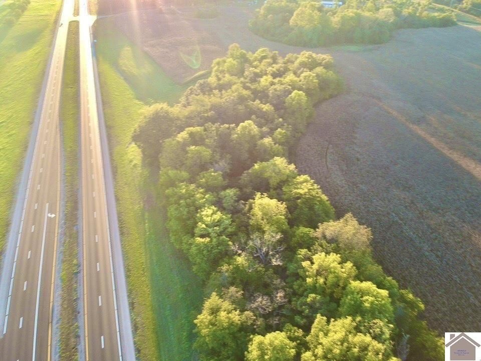 Picture 11