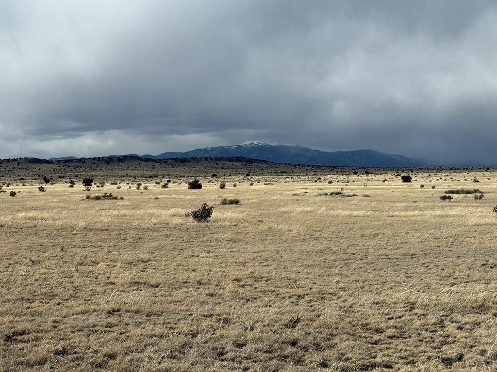 Southern Colorado Land with Water