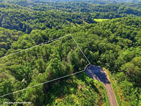 LAND - Sevierville, TN
