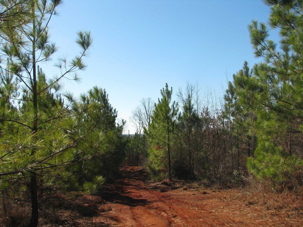 Picture 27