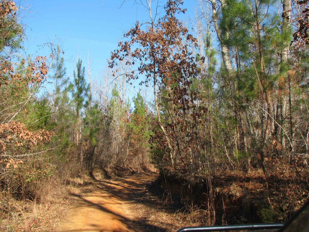 Picture 16