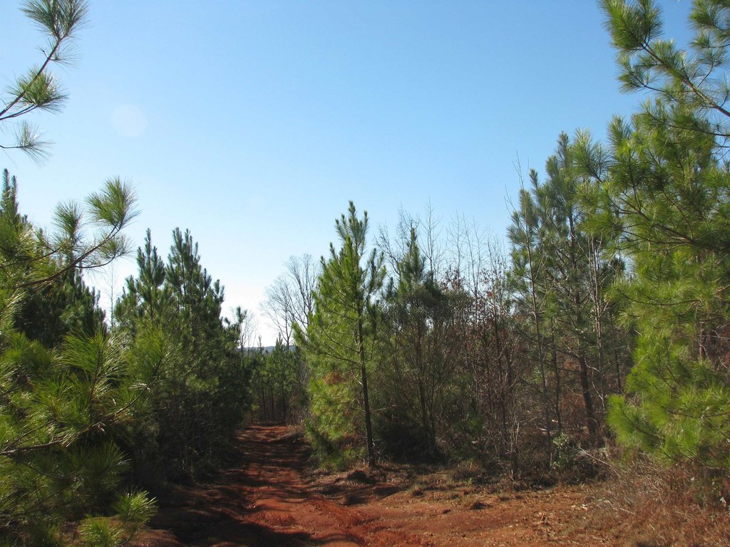Picture 29