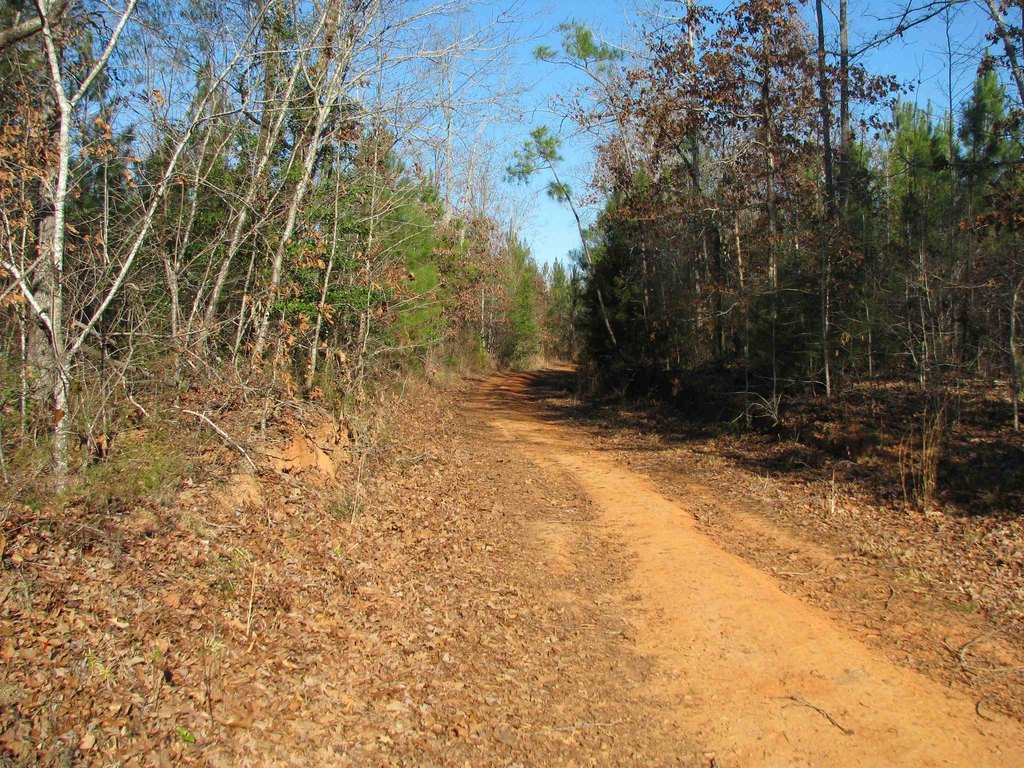 Picture 13