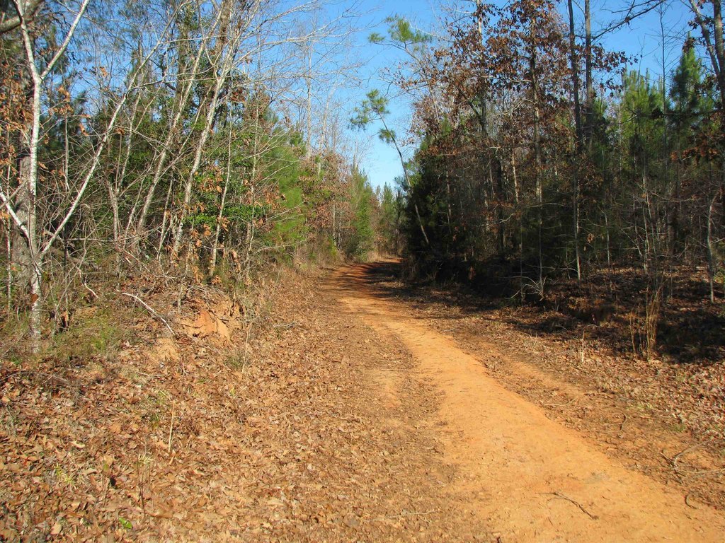 Picture 14