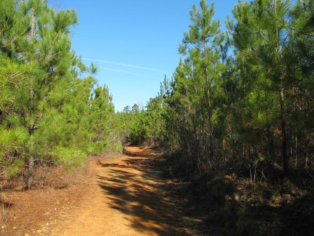 Picture 22