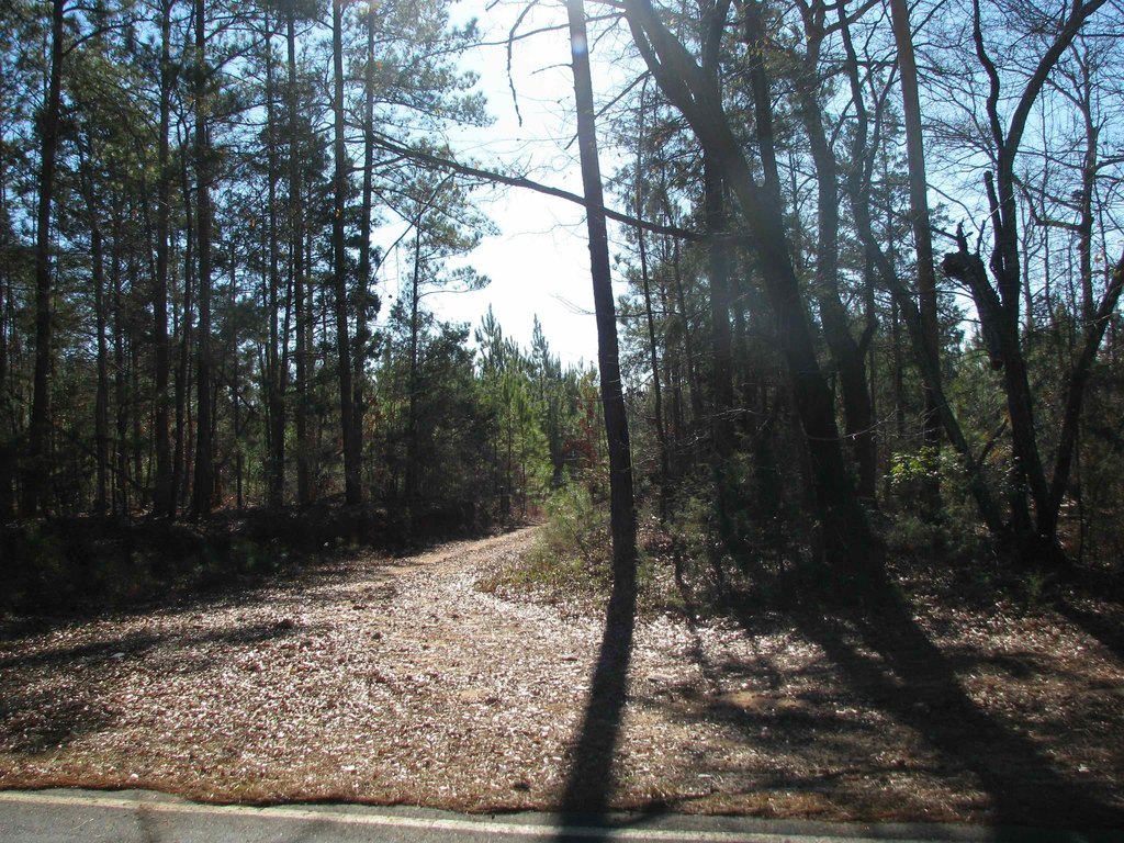 Picture 23