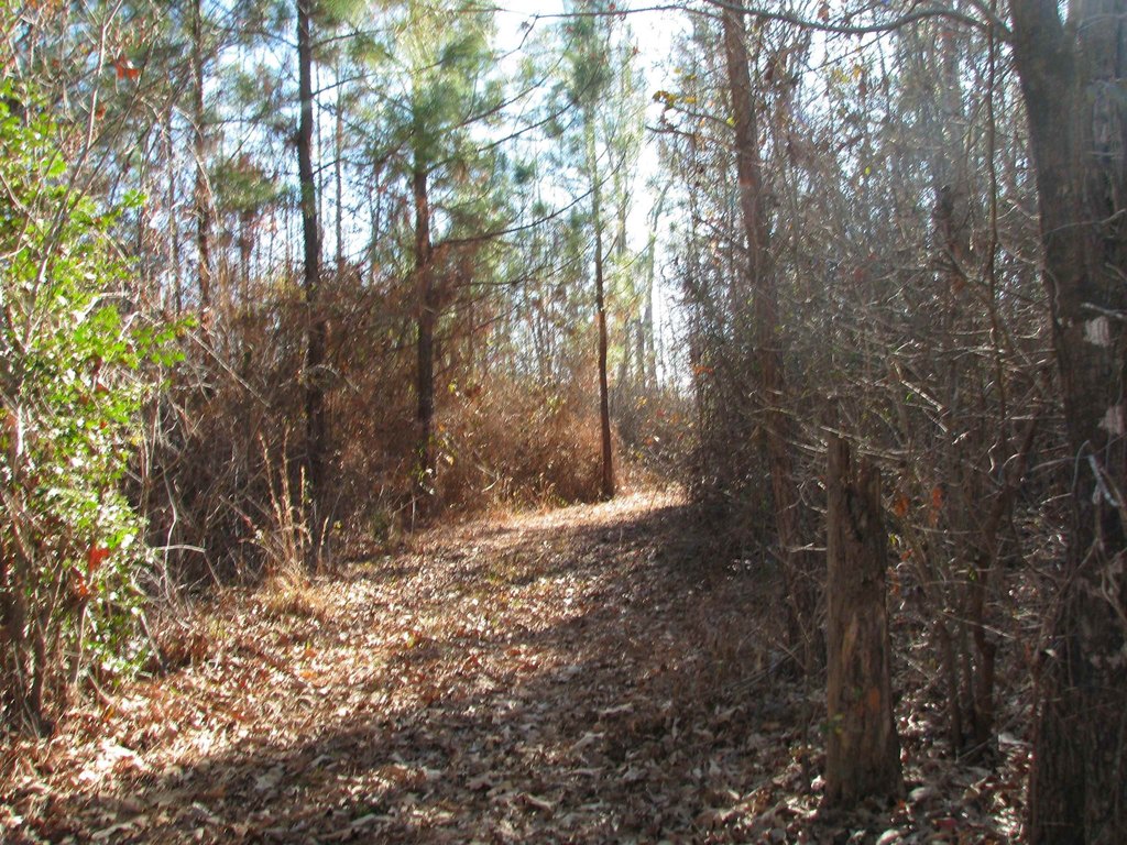 Picture 17