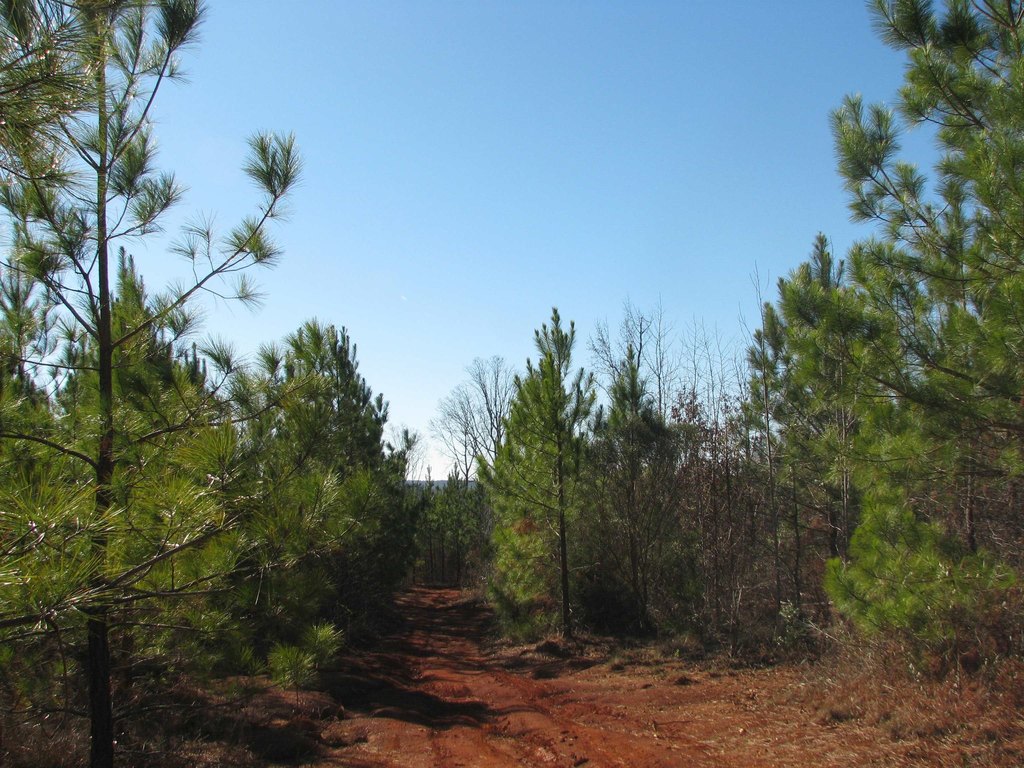 Picture 28