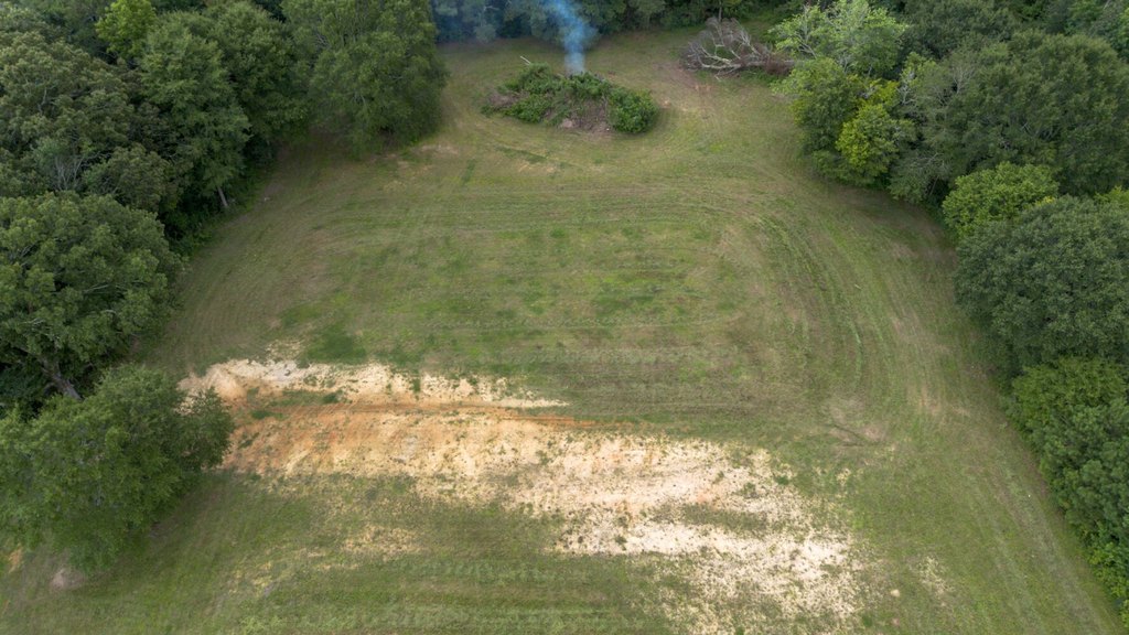 Picture 8