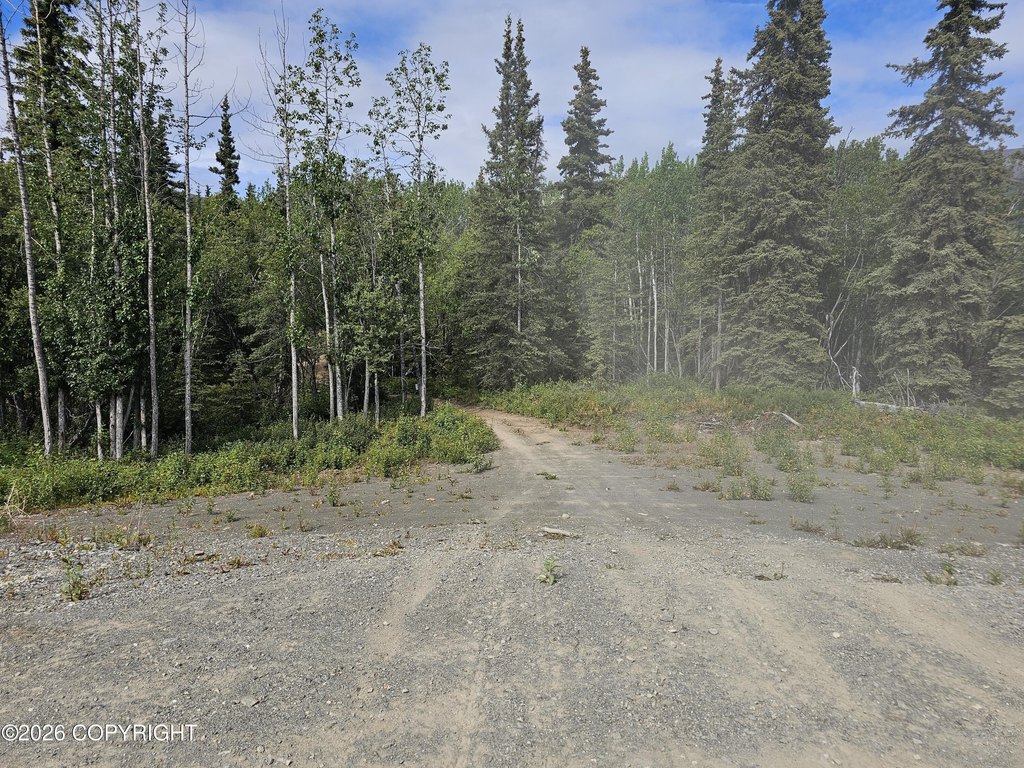 Picture 3