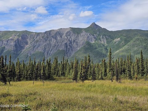 Land, Chickaloon, AK