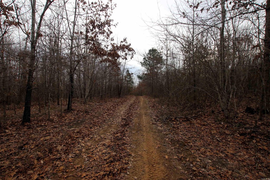 Picture 25