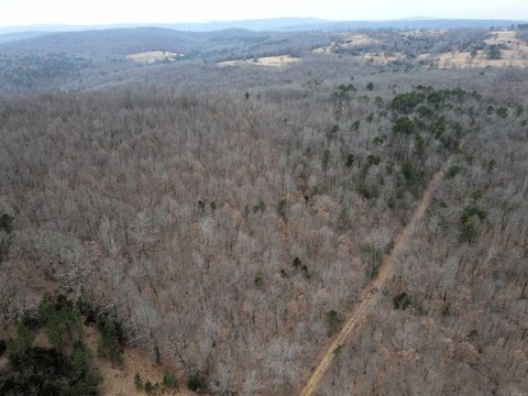 Secluded Land with Hunting Potential