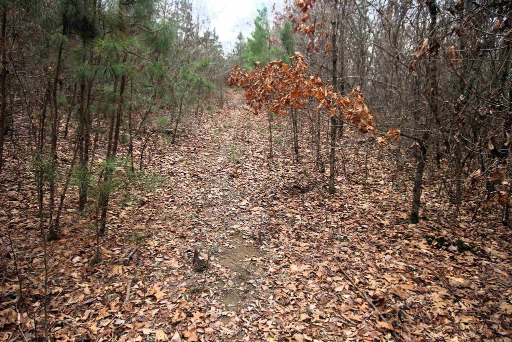 Picture 30