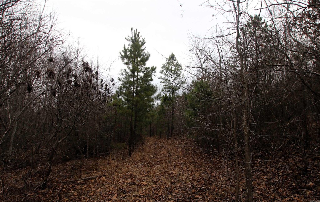 Picture 33