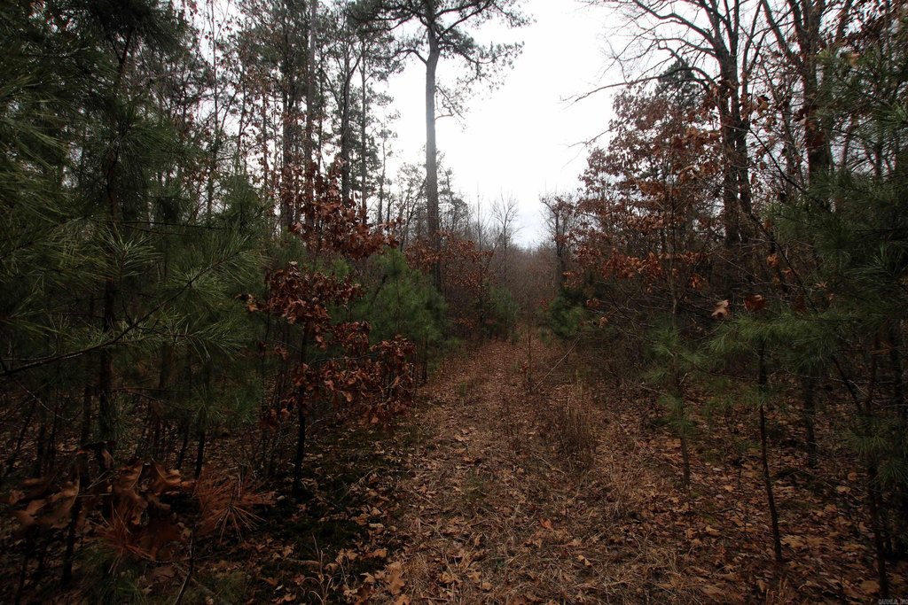 Picture 28