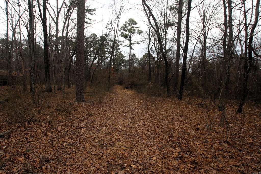 Picture 34