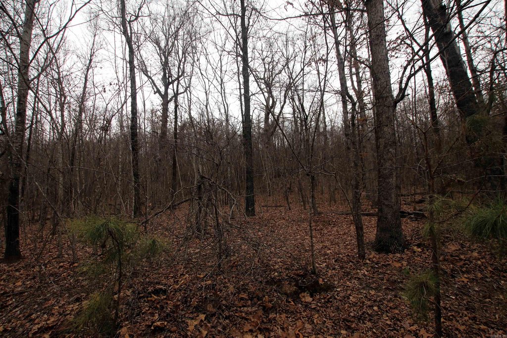 Picture 21