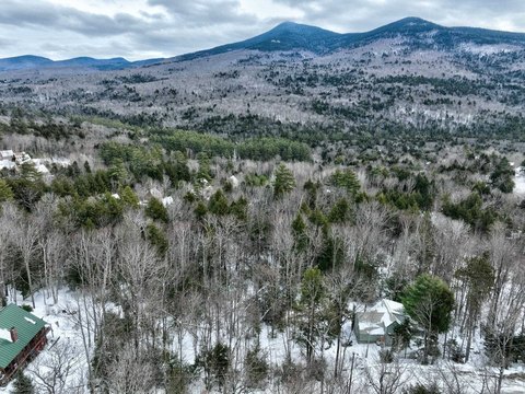 Wooded Residential Land Lot