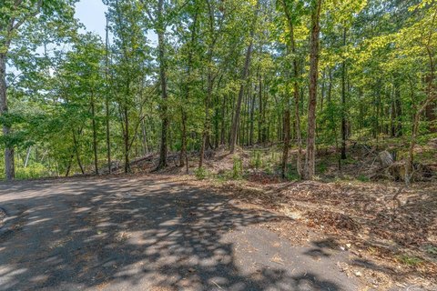 Vacant Land, Hot Springs Village, AR