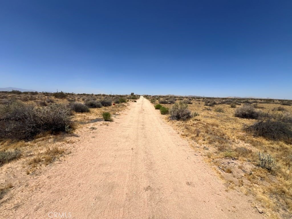 Picture 8