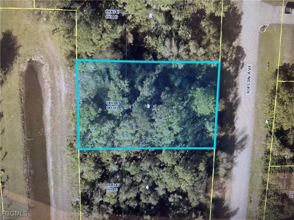 Vacant Lot in Fort Myers