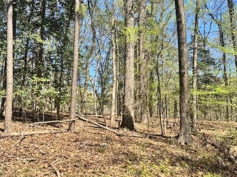 Lake Sam Rayburn Residential Lot