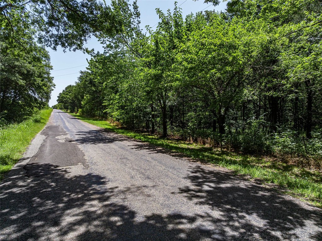 Picture 30