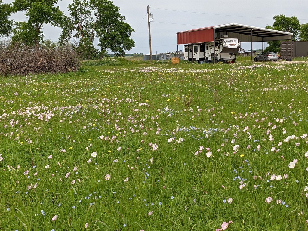 Picture 10