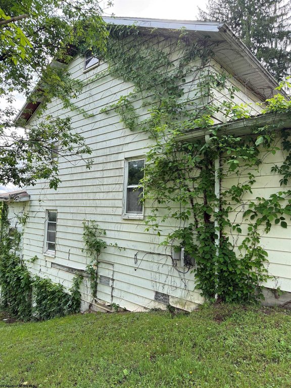 Picture 4