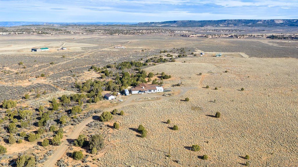 Picture 37