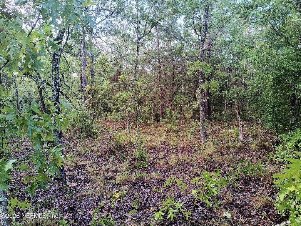 Picture 9