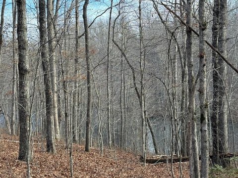 Wooded Lot in Cumberland Lakes