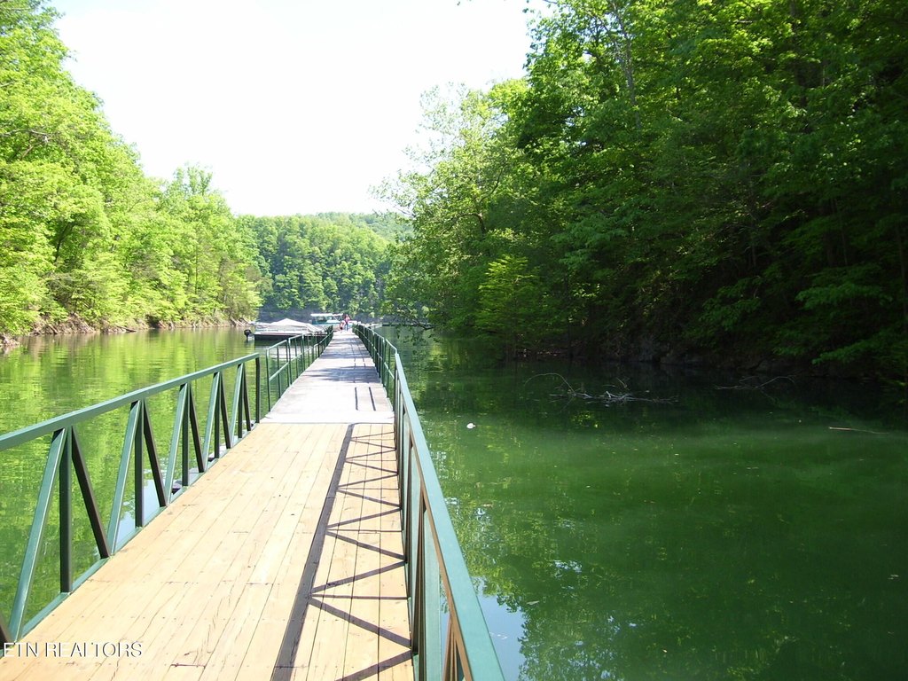 Picture 14