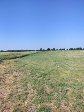 5.06 Acre Lot in Itasca