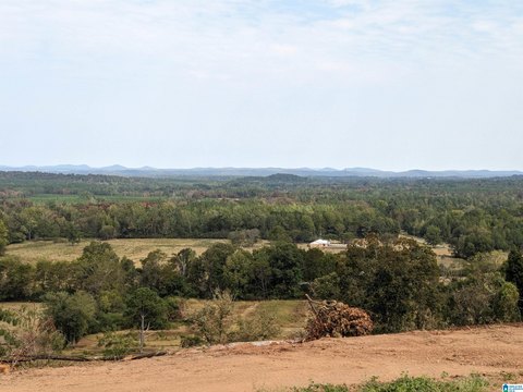 LAND - LINCOLN, AL