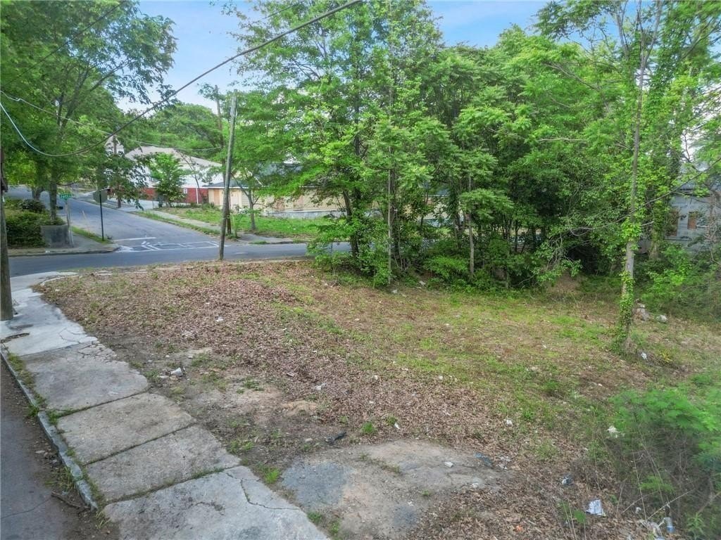 Picture 5