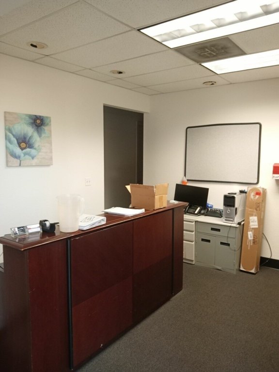 Picture 5