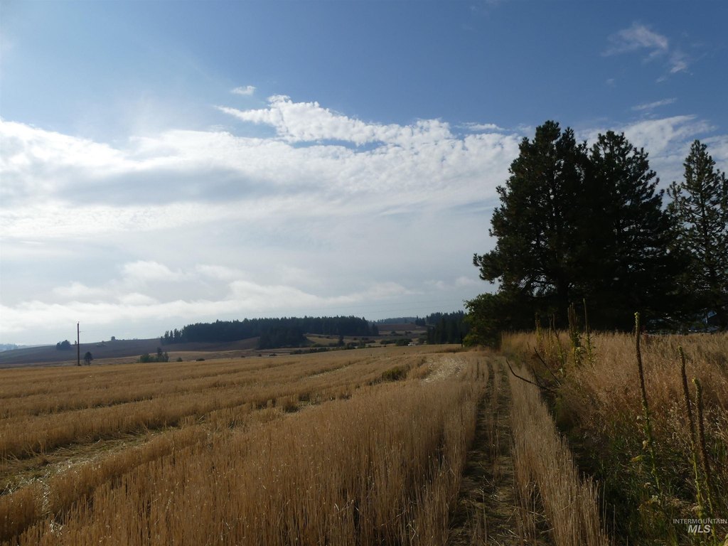 Picture 28