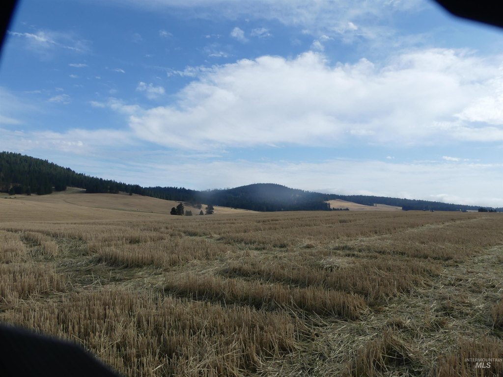 Picture 36
