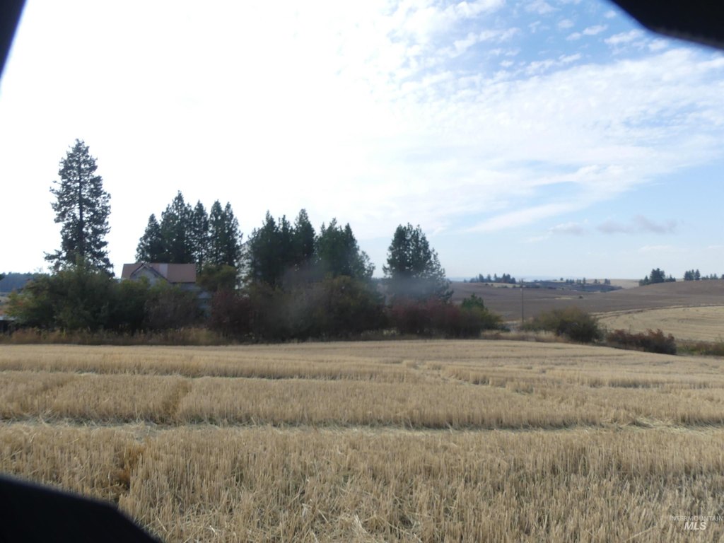 Picture 34