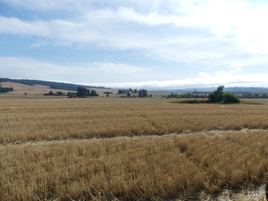 Picture 26