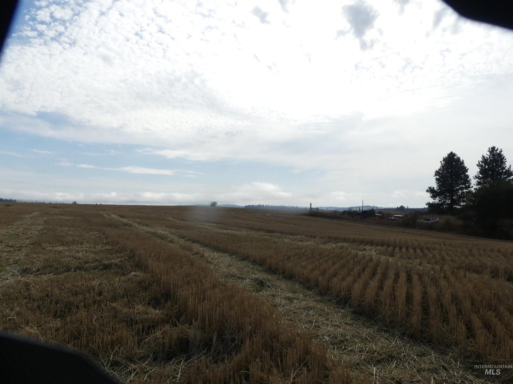 Picture 37
