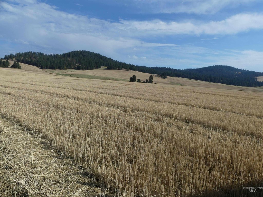 Picture 24