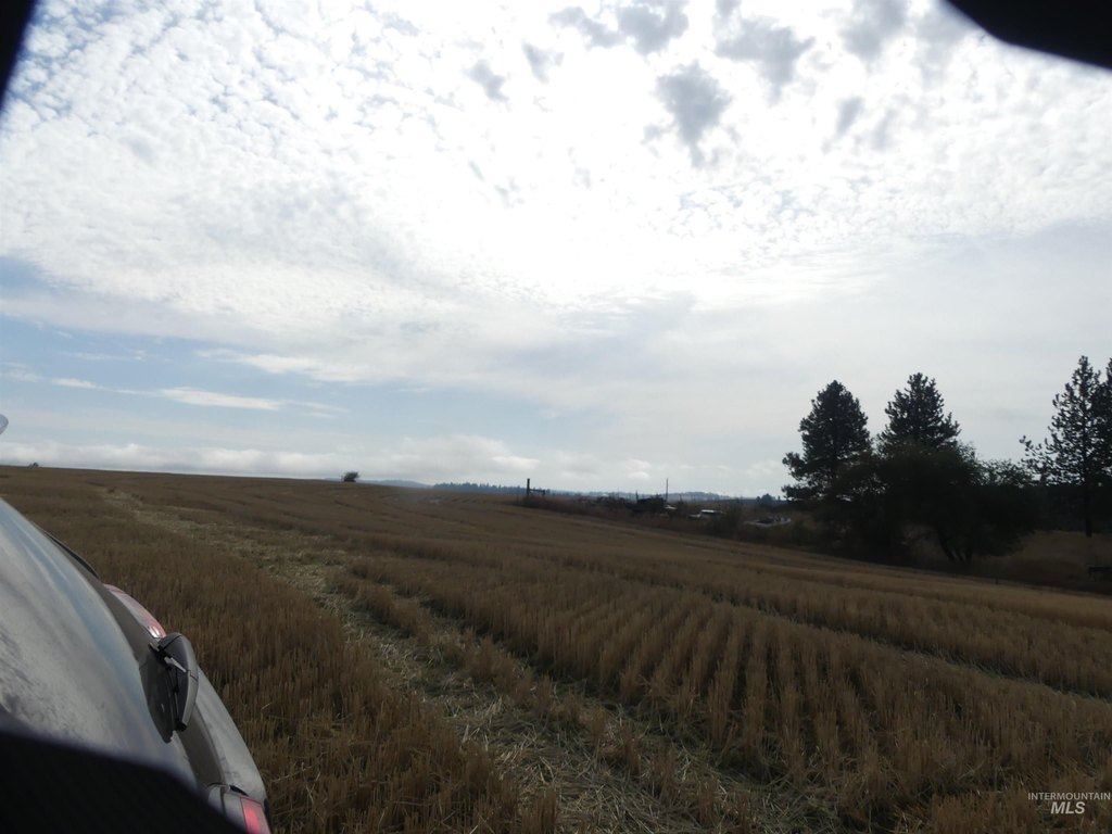 Picture 33